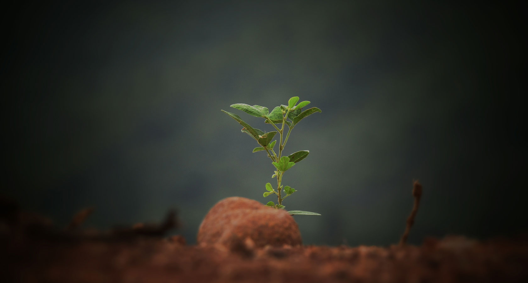 中国·永利皇宫54vip(中国)官方网站-登录入口